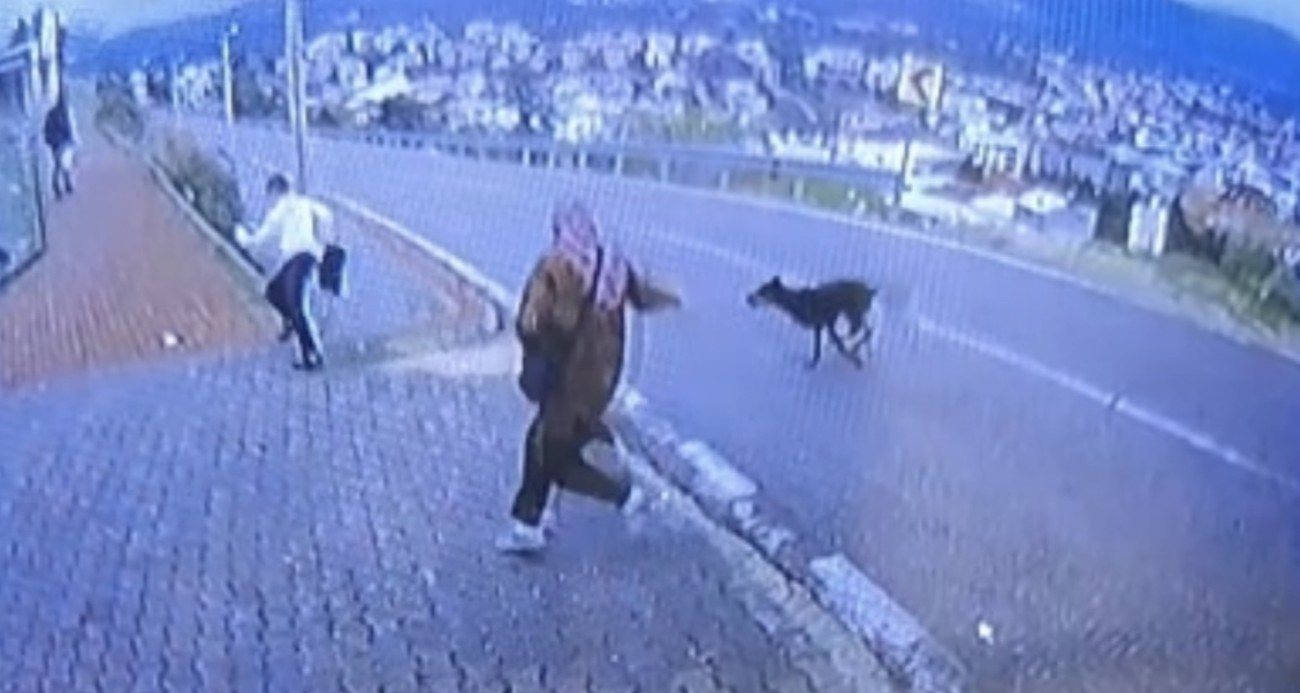 Bursa’da köpek dehşeti kamerada: Çocuk kaçarken bacağını kırdı