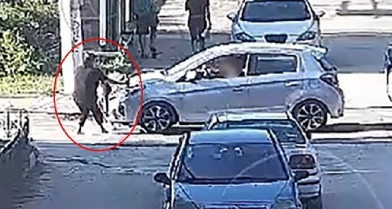 Elif Mavi’nin hayatını kaybettiği kazada sürücü hakkında 15 yıla kadar hapis talebi