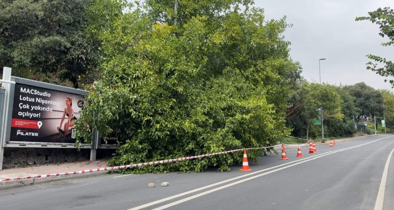 İstanbul’da yağış sonrası ağaçlar devrildi, rögarlar taştı