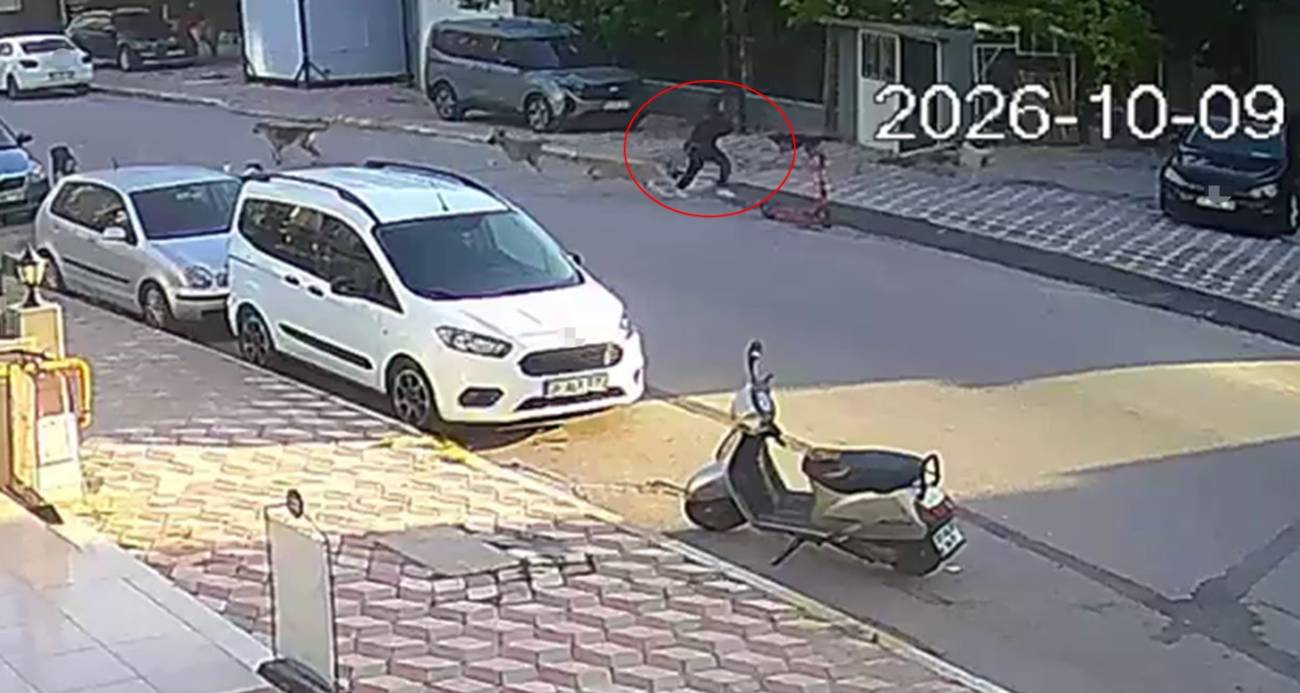 Okul yolunda sokak köpeklerinin saldırısına uğrayan kız çocuğu yaralandı