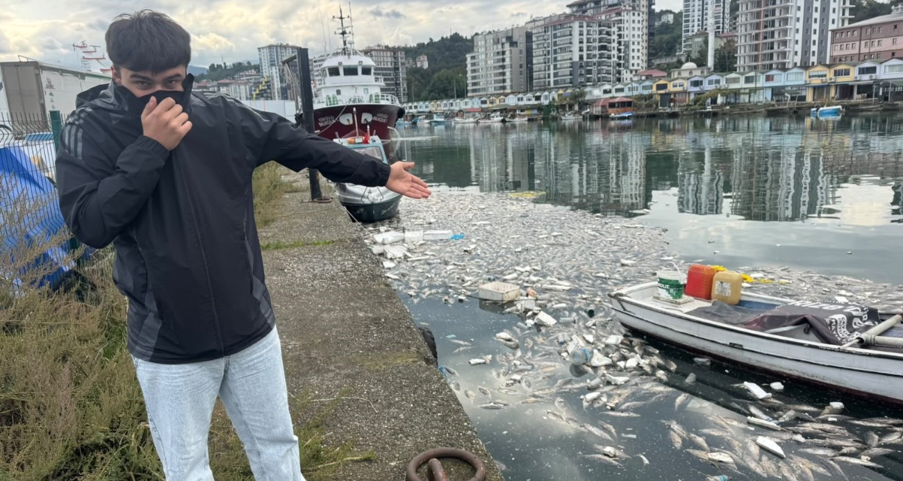Palamut bolluğu çileye dönüştü, liman balık çöplüğüne döndü