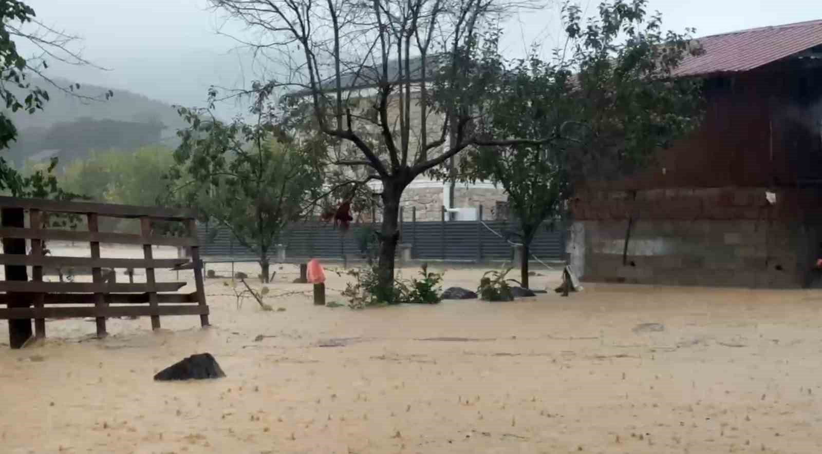 Sakarya’da sel bir mahalleyi sulara gömdü: 60 bin kanatlı hayvan telef oldu