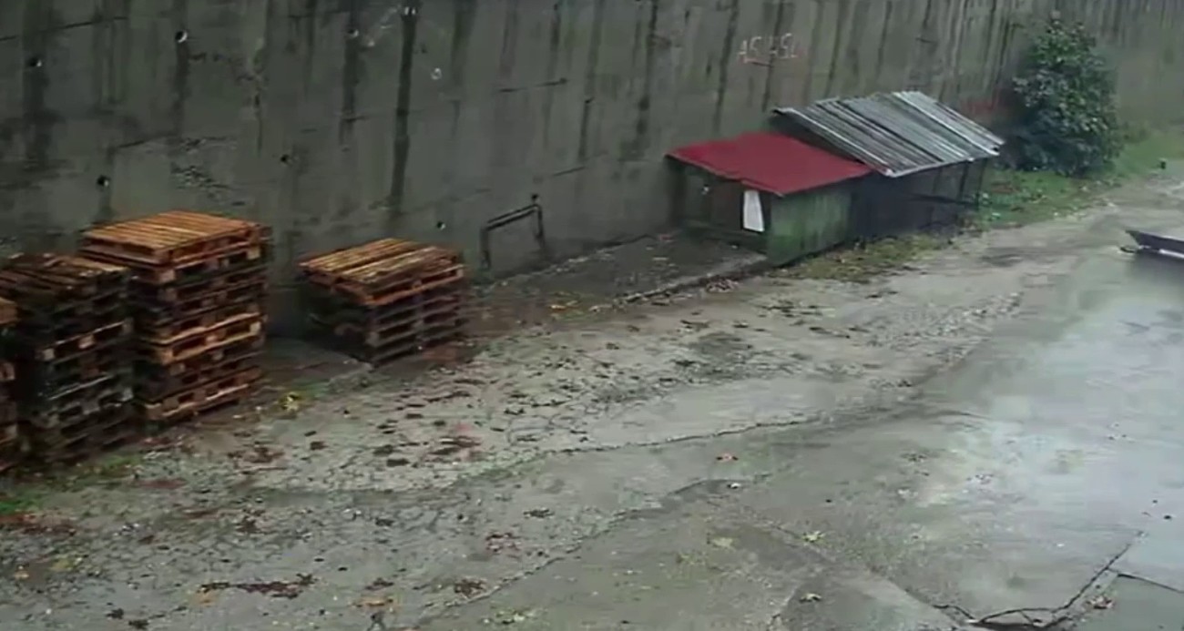 Zonguldak’ta istinat duvarının çöktüğü anlar kamerada: Köpekler telef oldu, 2 araç enkaz altında kaldı