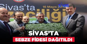 Çiftçilere ücretsiz sebze fidesi verildi